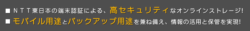 NTTの端末認証による高セキュリティなオンラインストレージ